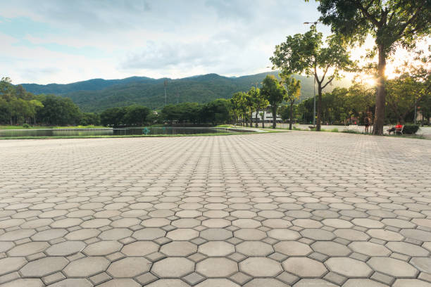 Best Driveway Pavers Installation  in Oronoco, MN