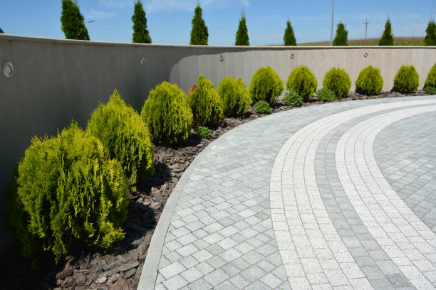Best Affordable Driveway Paving  in Oronoco, MN
