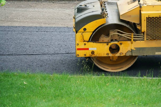 Best Driveway Paving Contractor  in Oronoco, MN